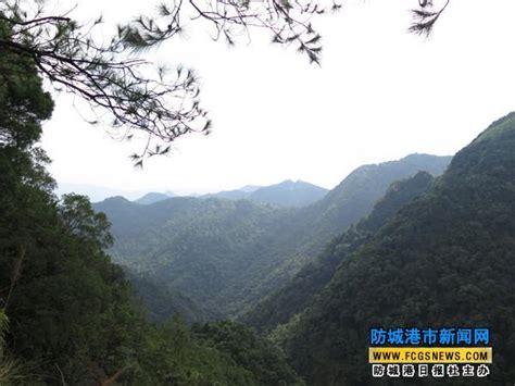 廣西十萬大山|十萬大山國家級自然保護區:行前必讀,景區動態,景區介紹,關鍵信息…